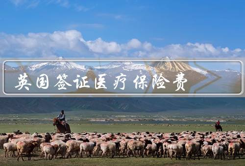 英国签证医疗保险费，定义／支付方式／金额