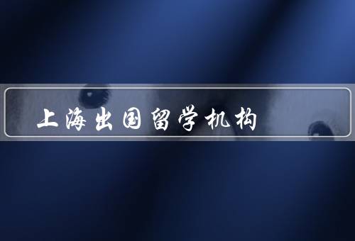 上海出国留学机构，上海出国机构的发展、服务的优势