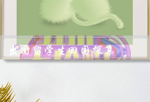 出国留学生回国探亲，回国时间的选择、签证和护照、交通和住宿安排