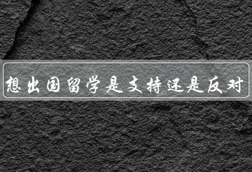 孩子想出国留学是支持还是反对（扩展国际化视野、提升综合素质）
