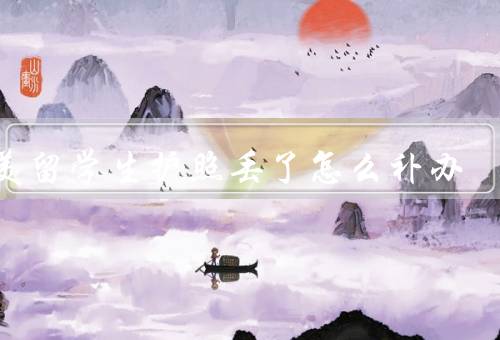 在美留学生护照丢了怎么补办，登报声明丢失／联系使领馆补办