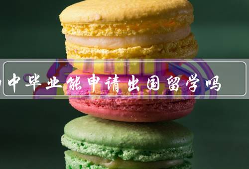 初中毕业能申请出国留学吗，学历要求／年龄要求／家庭支持