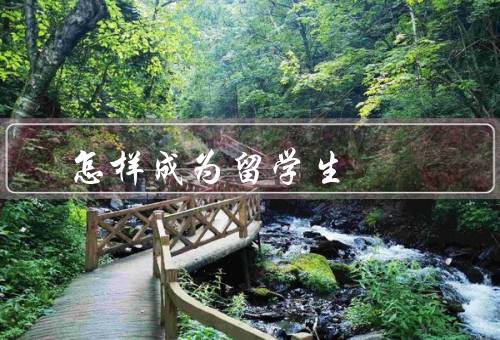 怎样成为留学生，留学申请、语言能力、文化适应
