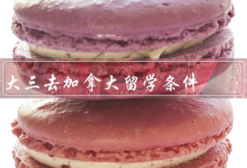 大三去加拿大留学条件（语言要求、学术成绩要求、经济能力要求）
