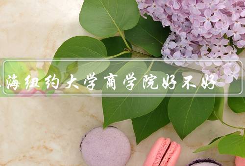 上海纽约大学商学院好不好，学科设置、师资力量、校园环境