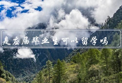 不是应届毕业生可以留学吗，意义／机遇／挑战
