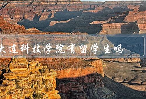 大连科技学院有留学生吗（国际交流／留学生情况／对留学生支持）