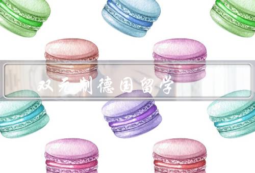 双元制德国留学，优势／特点／结语