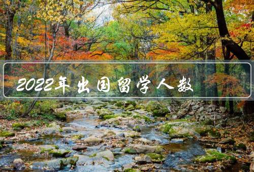 2022年出国留学人数，出国留学的经济因素／教育质量的提升