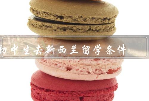 初中生去新西兰留学条件，学习成绩／语言能力／经济条件