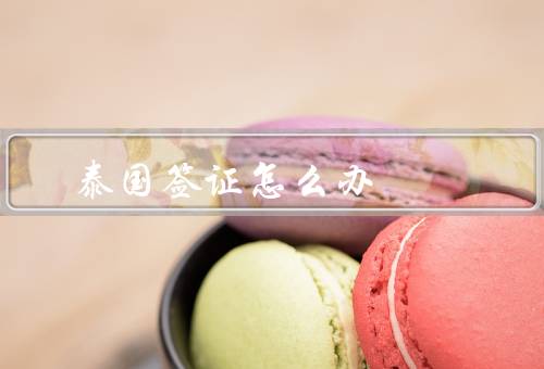 泰国签证怎么办