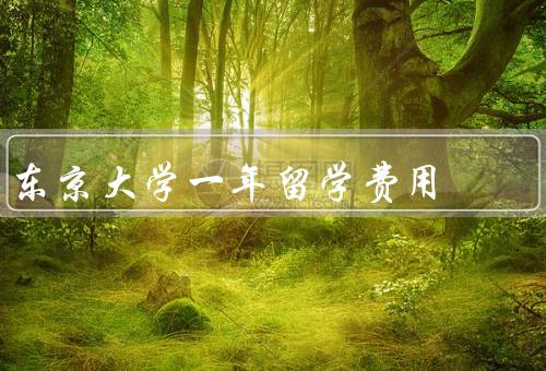 东京大学一年留学费用（留学费用概述／奖学金和助学金）