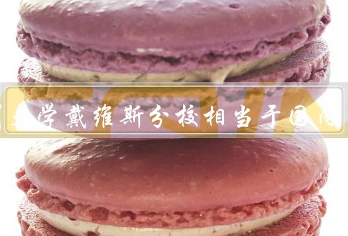加州大学戴维斯分校相当于国内，学术研究、教育质量、校园生活