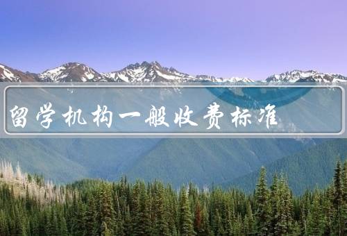 留学机构一般收费标准，留学咨询费、文书制作费、签证办理费