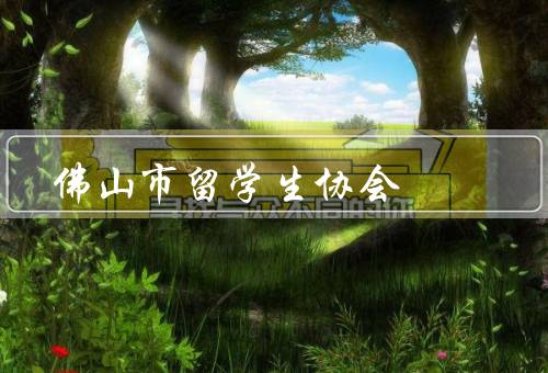 佛山市留学生协会（成立背景、主要活动、服务项目）