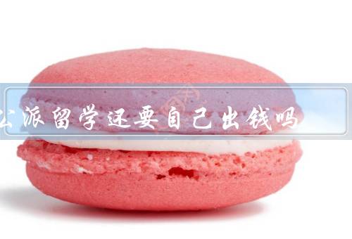 公派留学还要自己出钱吗，公派留学的资金来源、是否需要自费