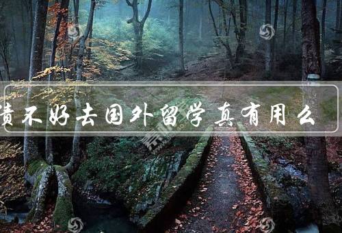 成绩不好去国外留学真有用么（是否只看成绩？）