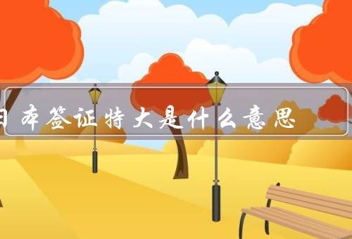 日本签证特大是什么意思，含义、准备、文件重要性