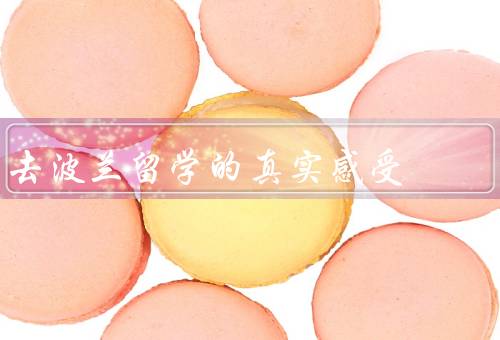 去波兰留学的真实感受（学术严谨、文化多样、友善的人民）