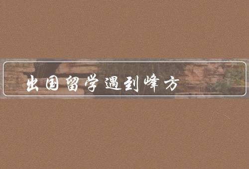 出国留学遇到峰方（文化差异、学术压力、生活适应）