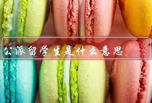 公派留学生是什么意思（选拔、学习经历、回国服务）