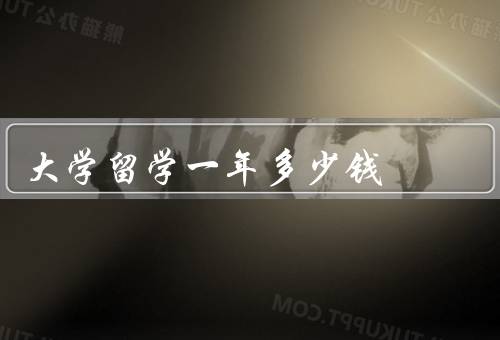 大学留学一年多少钱（学费、生活费、住宿费）