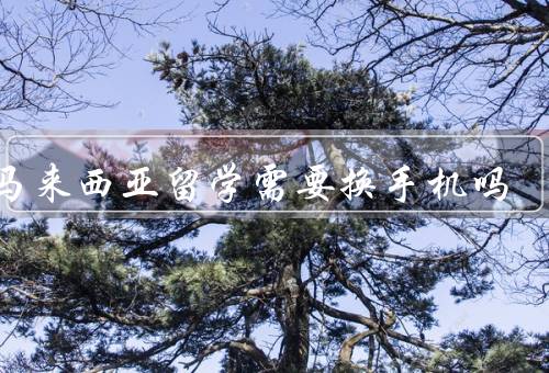 去马来西亚留学需要换手机吗（手机网络制式、价格和服务）