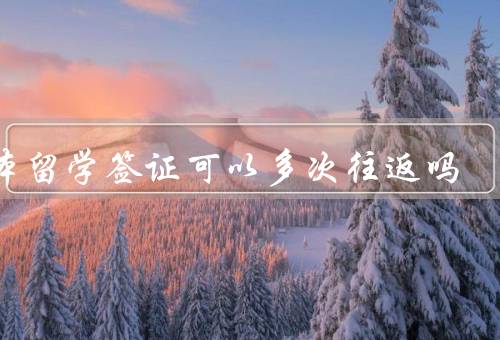 日本留学签证可以多次往返吗
