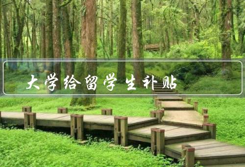 大学给留学生补贴，重要性／形式／效果