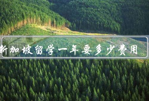 到新加坡留学一年要多少费用（学费、生活费、其他费用）