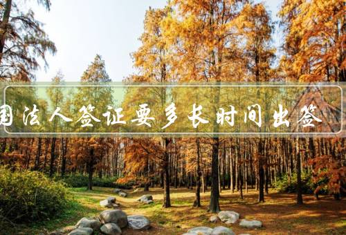 德国法人签证要多长时间出签（申请流程、审批时间、加急申请）