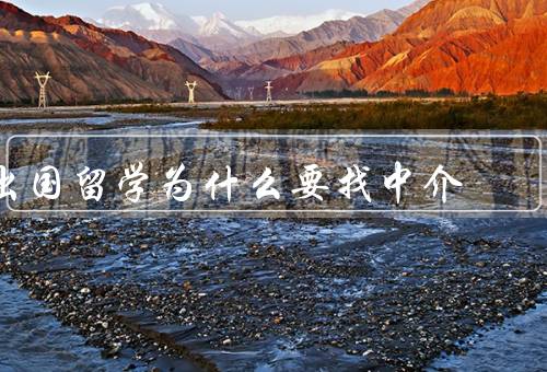 出国留学为什么要找中介，专业的咨询和指导／全方位的支持和帮助
