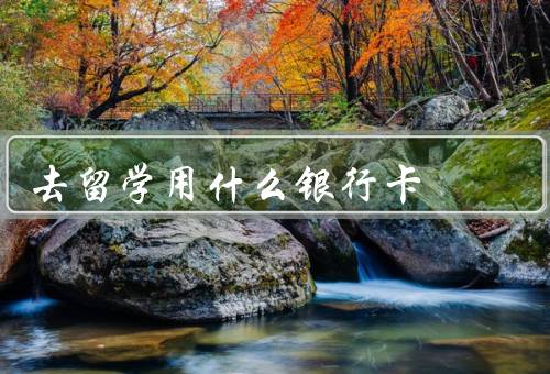 去俄罗斯留学用什么银行卡（中国银行卡、俄罗斯本地银行卡）