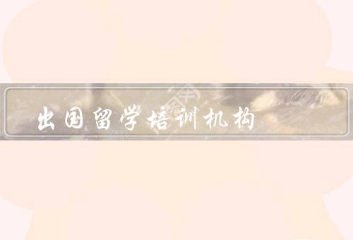 出国留学培训机构加盟（市场需求／专业培训支持／品牌影响力）