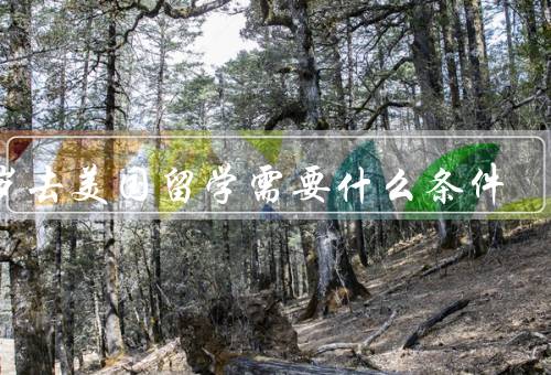 15岁去美国留学需要什么条件，学业表现优异、英语水平良好