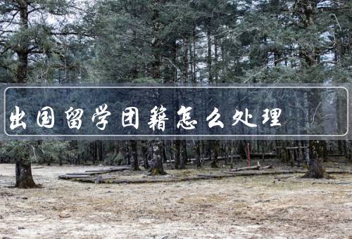 出国留学团籍怎么处理（认同、管理、对接）