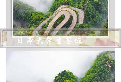 日本大学生签证（类型、申请程序、注意事项）