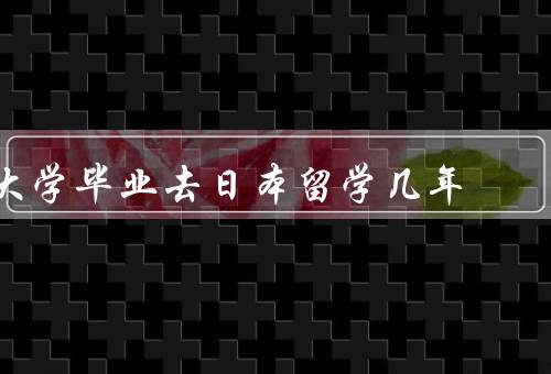 大学毕业去日本留学几年（语言学习／文化体验／职业发展）