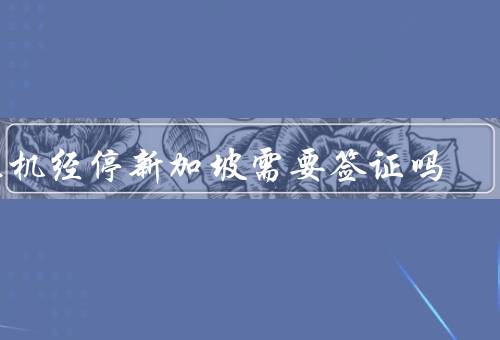 飞机经停新加坡需要签证吗，经停新加坡的飞机需要签证吗