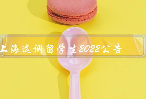 上海选调留学生2022公告（教育、科技、医疗）