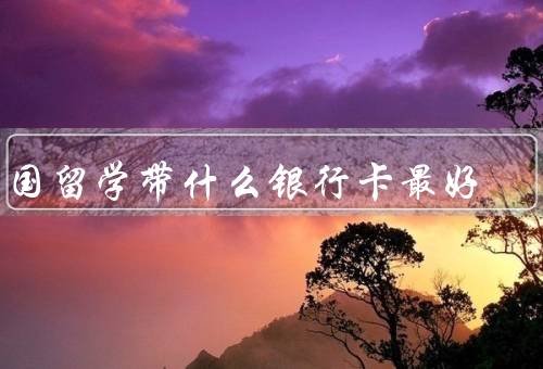 出国留学带什么银行卡最好，借记卡／信用卡／外币卡