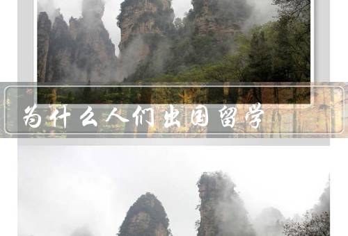 为什么人们出国留学（获取更高质量的教育／开拓国际视野）