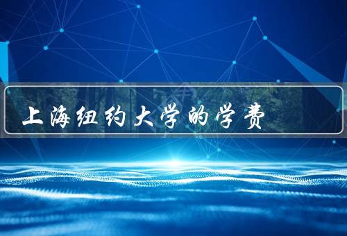 上海纽约大学的学费（构成／优势／问题）