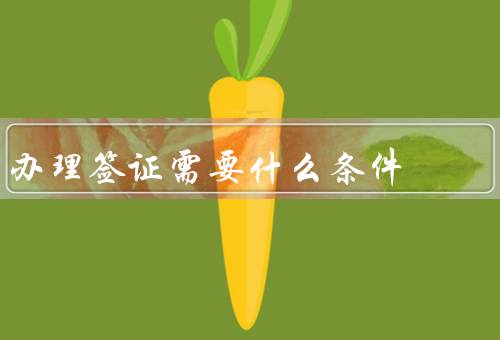 办理香港签证需要什么条件，有效护照／申请表格／照片