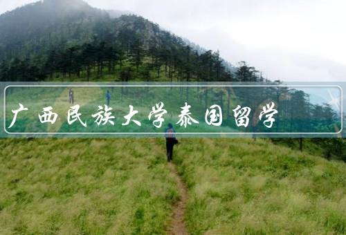 广西民族大学泰国留学，背景、特色、影响和意义