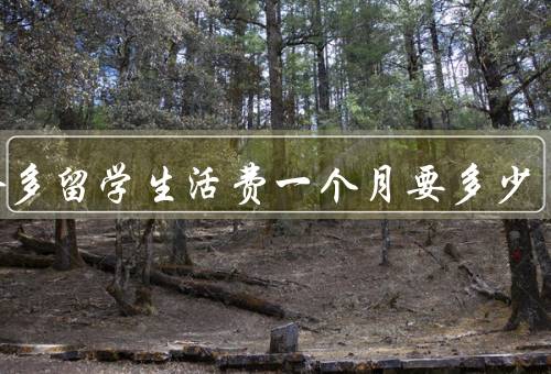 多伦多留学生活费一个月要多少（住宿费／生活费／学费）