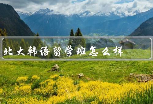北大韩语留学班怎么样，课程设置／教学质量／学习氛围