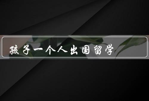 孩子一个人出国留学