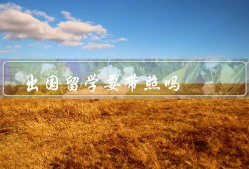 出国留学要带证件照吗，用途、标准、准备注意事项