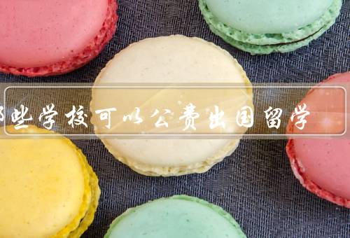 哪些学校可以公费出国留学，清华大学、北京大学、复旦大学
